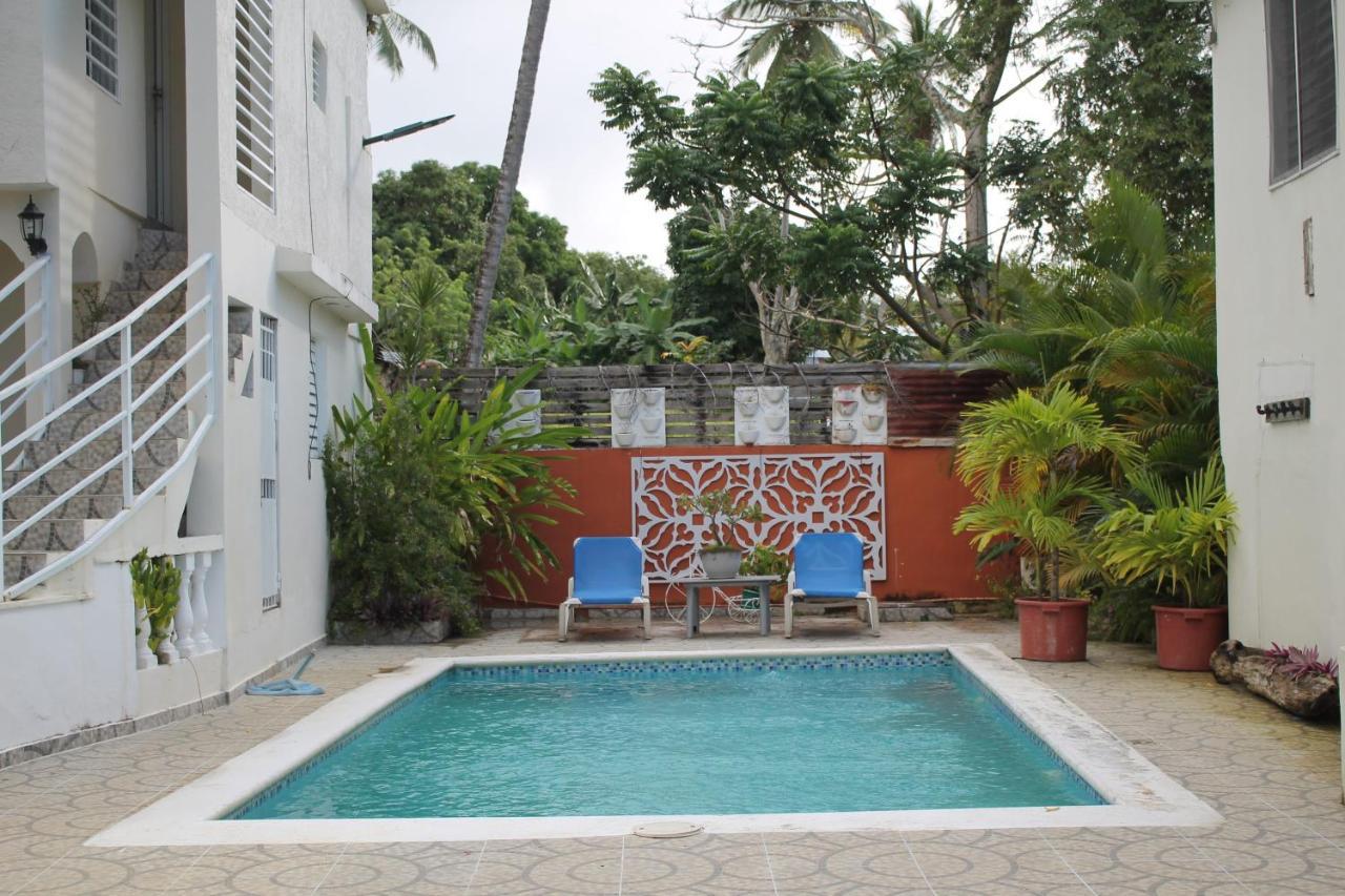 Complejo Villa Las Palmeras Piscina, Billar, Jardin, Bbq @Drvacationsrental Samana Bagian luar foto