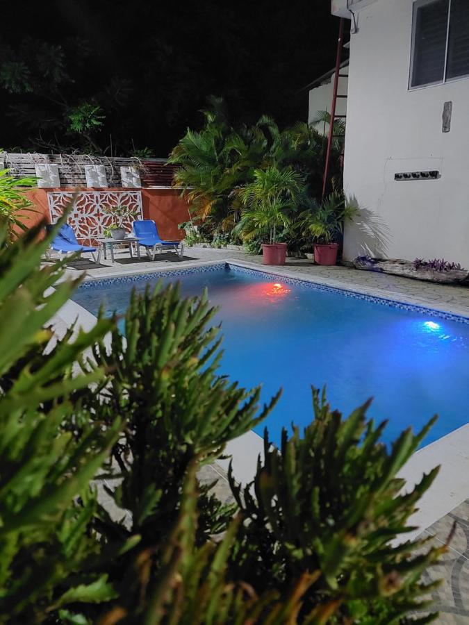 Complejo Villa Las Palmeras Piscina, Billar, Jardin, Bbq @Drvacationsrental Samana Bagian luar foto