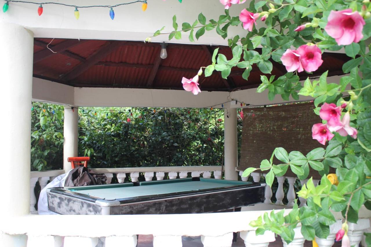 Complejo Villa Las Palmeras Piscina, Billar, Jardin, Bbq @Drvacationsrental Samana Bagian luar foto