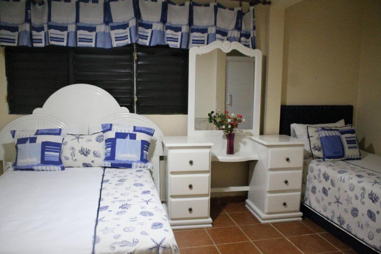 Complejo Villa Las Palmeras Piscina, Billar, Jardin, Bbq @Drvacationsrental Samana Bagian luar foto