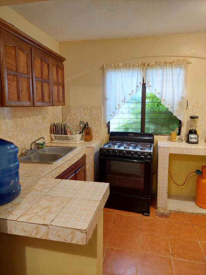 Complejo Villa Las Palmeras Piscina, Billar, Jardin, Bbq @Drvacationsrental Samana Bagian luar foto